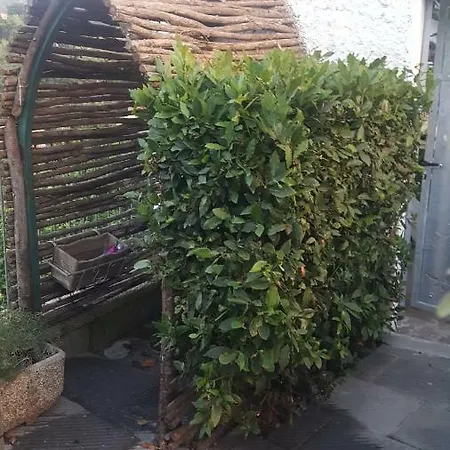 Casa Buono