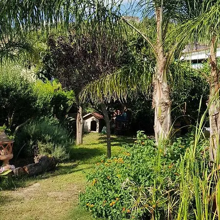 Casa Buono Apartamento Barano dʼIschia